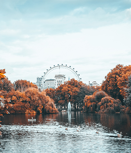 Travel destination