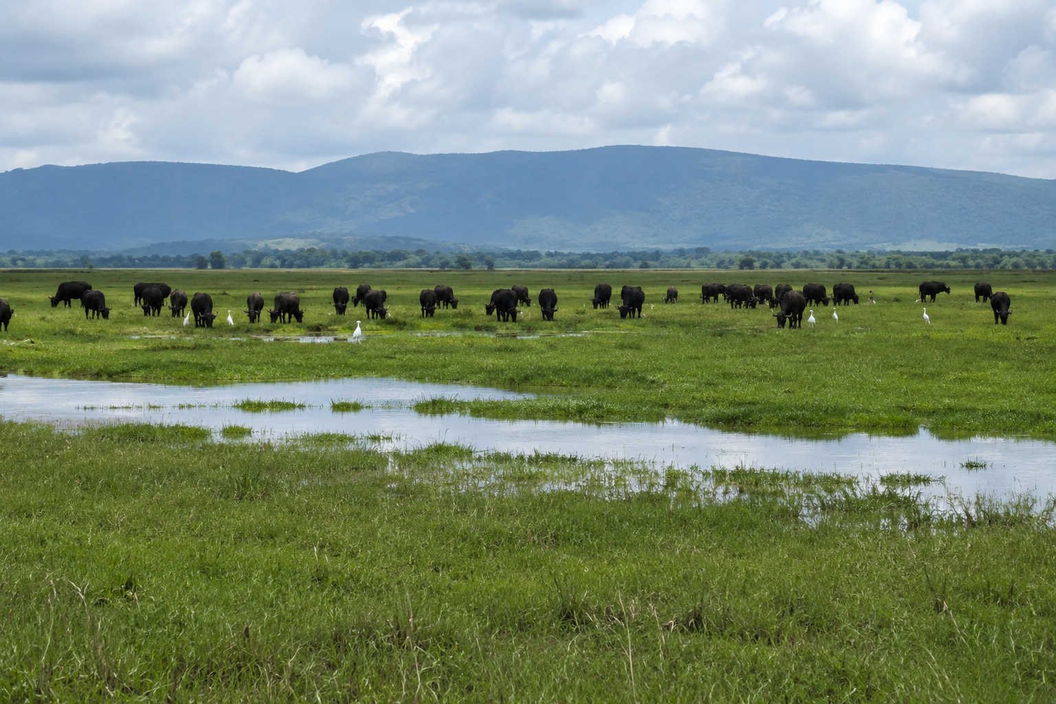 Dhati Walal National Park