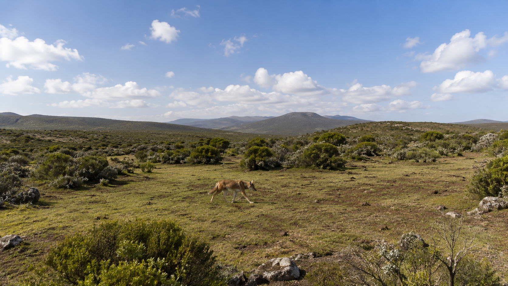 Dhati Walal National Park