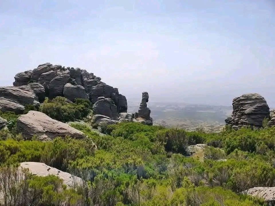 Arsi Mountains National Park