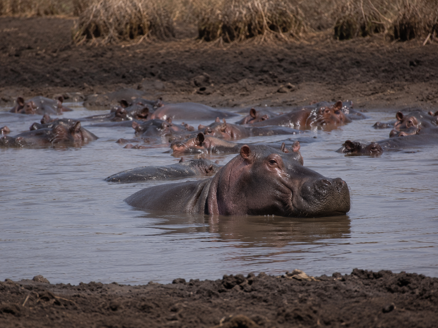 Dhati Walal National Park