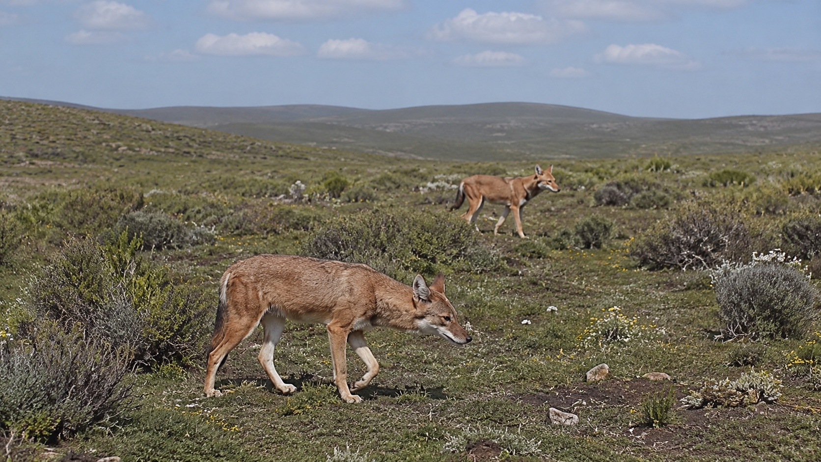 Dhati Walal National Park