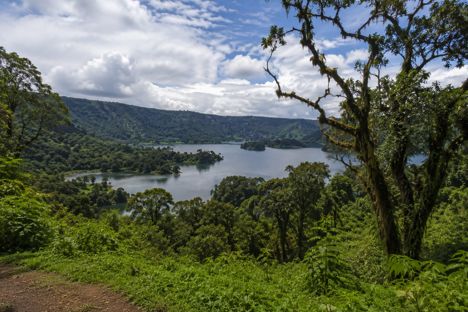 Suba Menagesha Forest Reserve