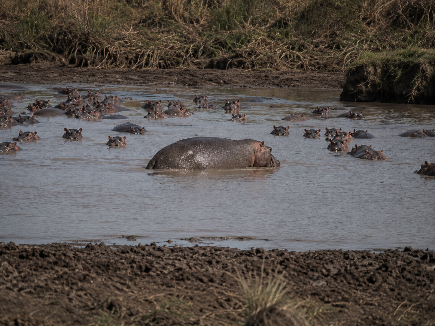 Dhati Walal National Park
